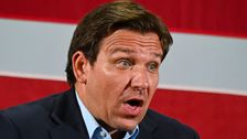 Columnist gives 'Brittle Ego' Ron DeSantis a brutal reality check from 2024