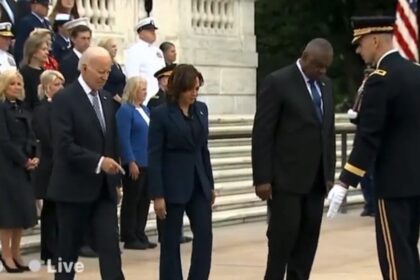 Joe Biden on Memorial Day: confusion, yawning and not knowing how to salute (VIDEO) |  The gateway expert