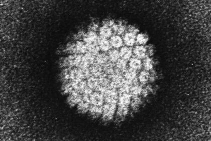 Study finds diet contributes to risk of HPV-related cancer