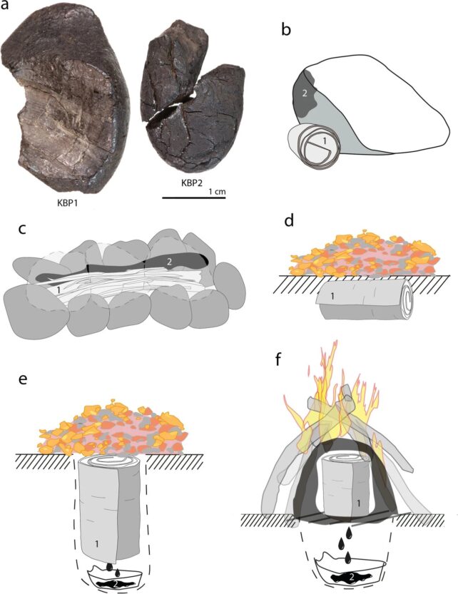 Neanderthals may have been the first to carefully devise this substance: ScienceAlert