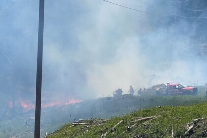 Wildfire erupts in San Miguel County on Ophir Pass