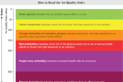 How to use the air quality index