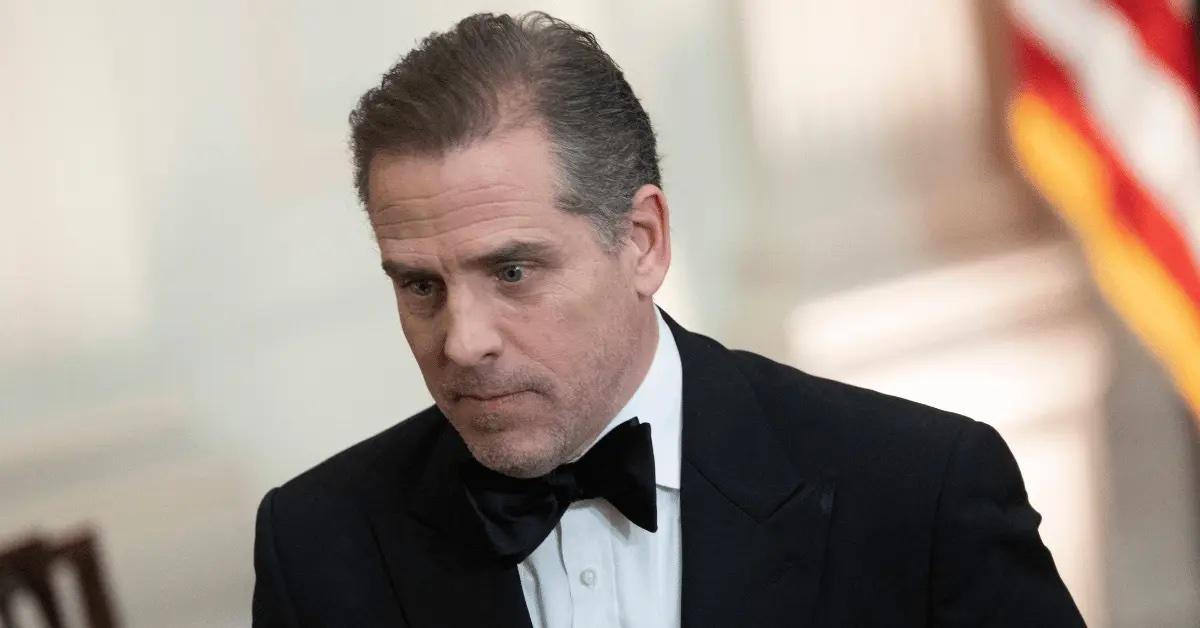 Hunter Biden sold artwork to donor who appointed Joe to the Federal Commission