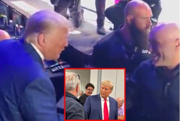 Trump meets Joe Rogan, Mel Gibson and more at UFC 290 |  The gateway expert |  by Anthony Scott