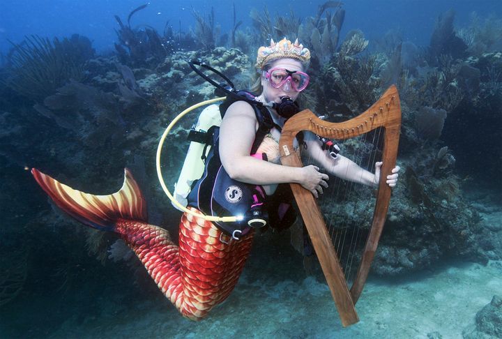 Underwater music show puts the spotlight on coral reef protection