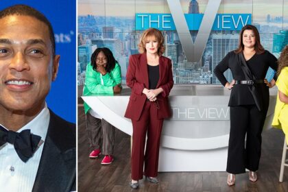 Don Lemon Trying to Woo His Way Onto 'The View': Sources