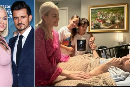 Katy Perry and Orlando Bloom Putting 83-Year-Old Vet's Family 'Under Immense Stress' With Lawsuit