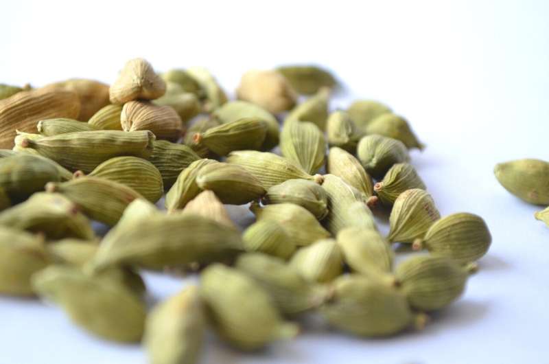 Study shows cardamom increases appetite, burns fat