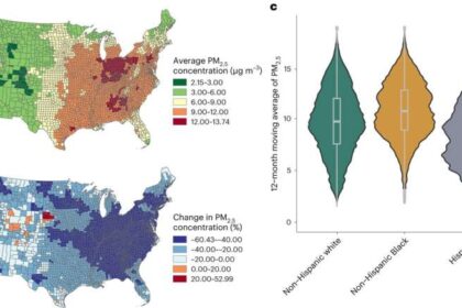 Health burden of air pollution found to differ across racial groups