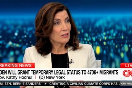 New York's Democrat Gov. Hochul Blasts Illegal Aliens: "If You're Going to Leave Your Country, Go Somewhere Else!" (VIDEO) | The Gateway Pundit