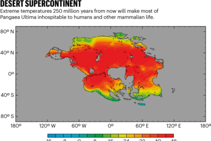 Pangaea Ultima, the Next Supercontinent, May Doom Mammals to Far-Future Extinction