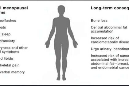 Review of over 70 years of menopause science highlights research gaps and calls for individualized treatment