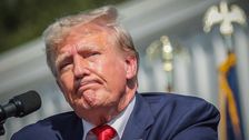 'The View' Hosts Brutally Mock Trump's Fraud Verdict