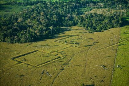 10,000 Pre-Columbian Structures Could Be Hidden beneath Amazon Rain Forest