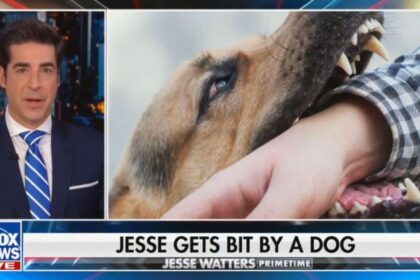 Jesse Watters 'Attacked' by Dog After 'Getting Rid' of His Own Pup