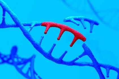 The First Crispr Medicine Just Got Approved