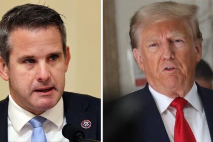 Adam Kinzinger Calls Donald Trump A 'Professional Victim'