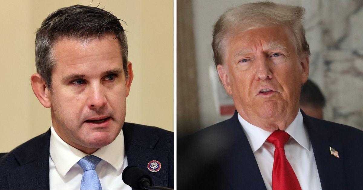 Adam Kinzinger Calls Donald Trump A 'Professional Victim'