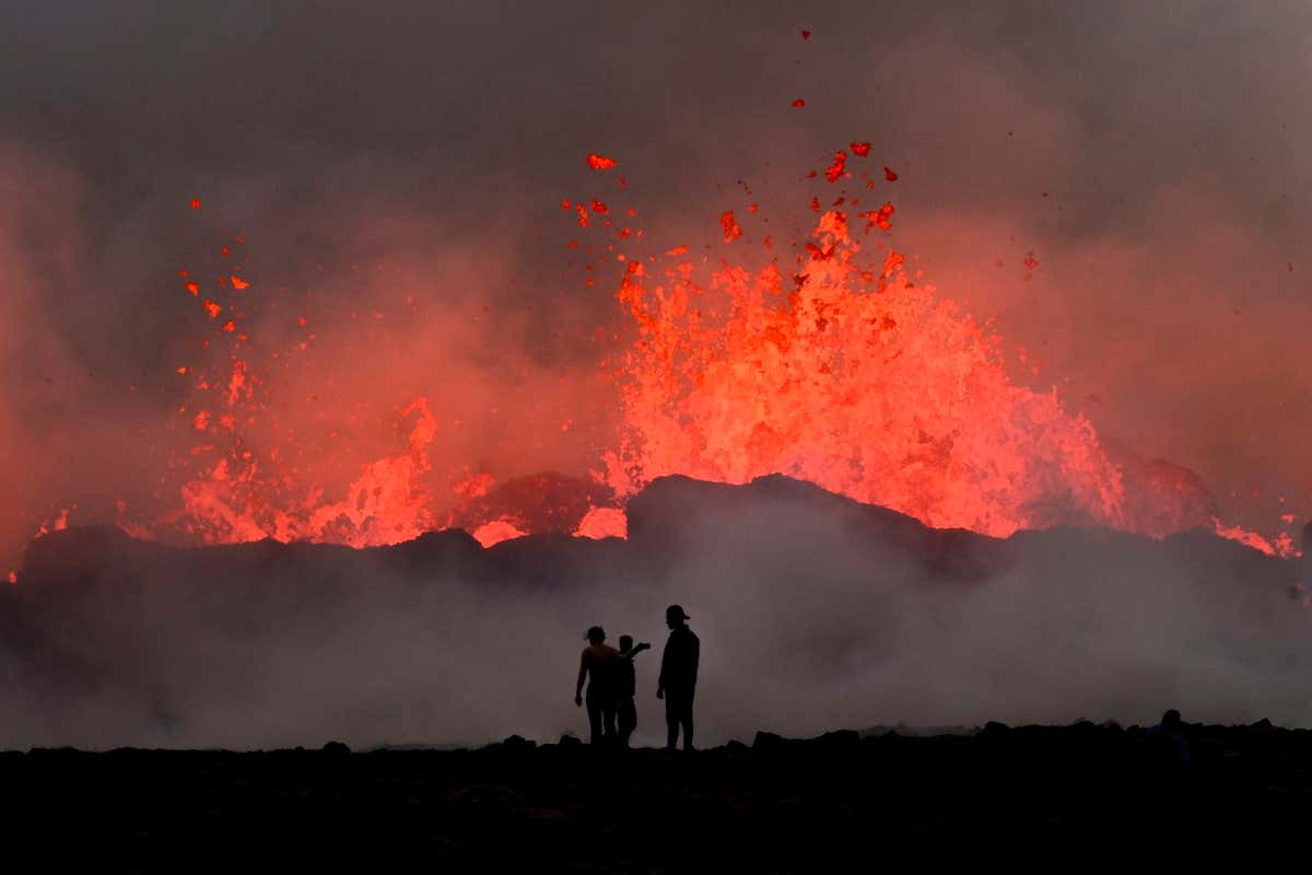 The best photos of the natural world in 2023