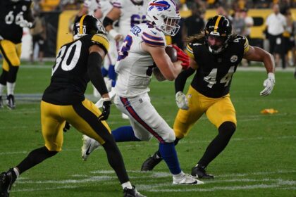 Bills-Steelers Playoff Game Postponed Due to Weather