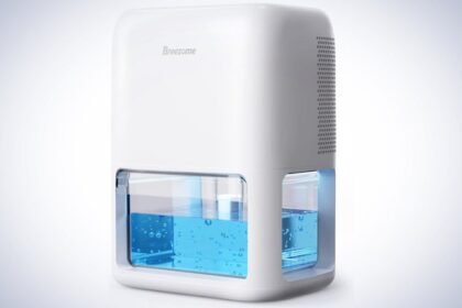 Four of the best small humidifiers side by side on a plain white background.