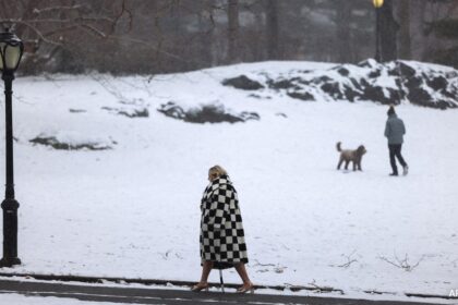 USA Weather 50 Killed In Fierce Winter Storms, Schools Shut, Blackouts In US