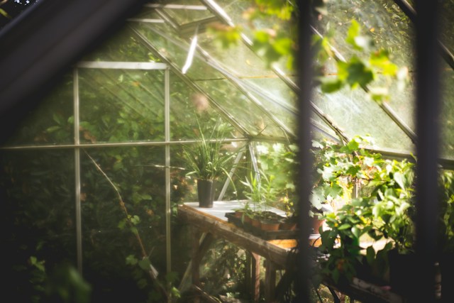 The 3 Essential Tips For Using A Greenhouse For Your Garden
