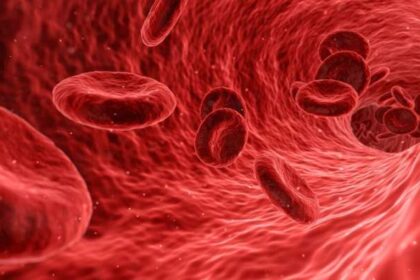 PFAS in blood are ubiquitous and are associated with an increased risk of cardiovascular diseases, finds study