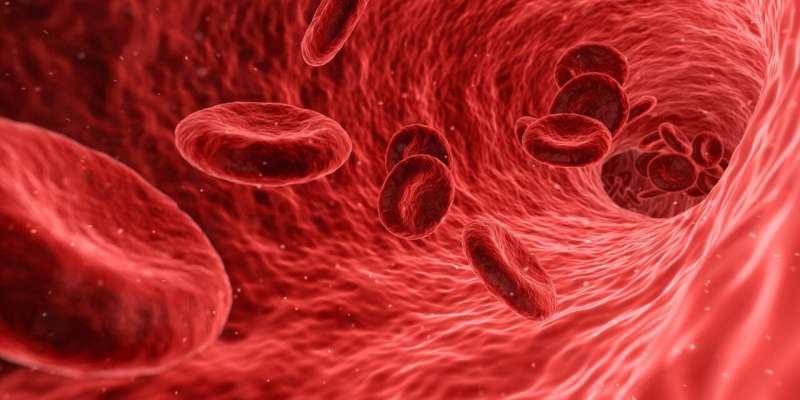 PFAS in blood are ubiquitous and are associated with an increased risk of cardiovascular diseases, finds study