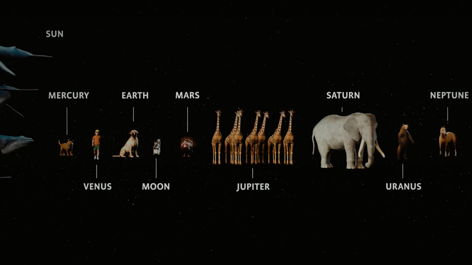 planet names alongside images of a cat, human, dog, rat, squirrel, giraffes, elephant, bear, and horse