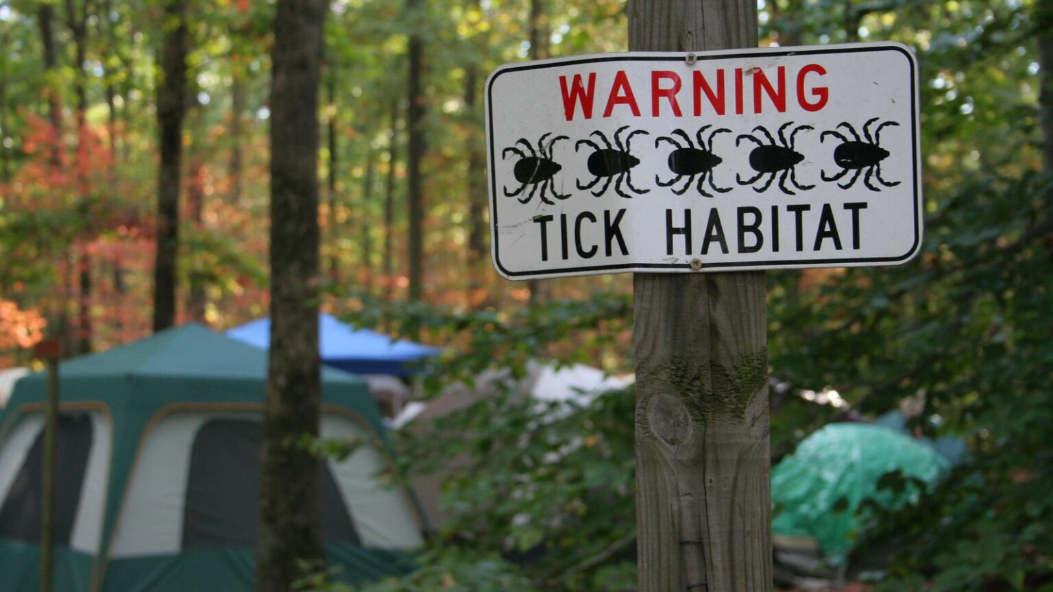 Why You Should Worry About Lyme And Other Diseases Transmitted By Pests