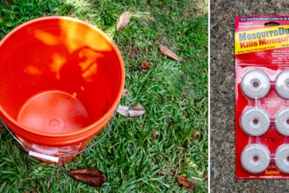 How to build a mosquito kill bucket