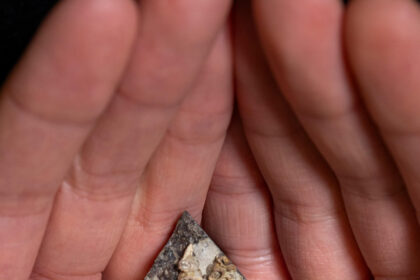 Baby teeth reveal surprisingly long lifespans of small Jurassic mammals