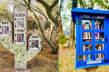 How to set up a Little Free Library